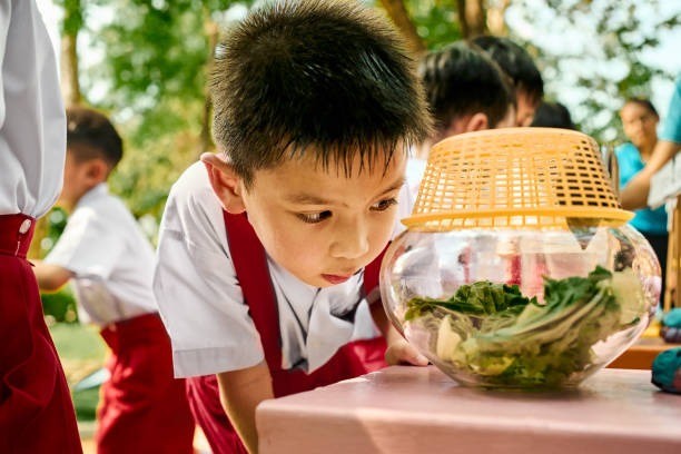 fungsi keluarga, WHO, BKKBN, parenting, keluarga muda, fungsi biologis, kasih sayang anak, peran orang tua, pendidikan anak, tumbuh kembang anak, kehadiran emosional, orang tua lengkap, keluarga harmonis